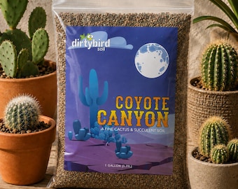 May include: A clear plastic bag filled with brown cactus and succulent soil. The label features a blue desert landscape with a full moon, a saguaro cactus, and the text Dirtybird Soil Coyote Canyon A Fine Cactus & Succulent Soil 1 Gallon (3.79L).