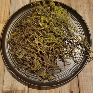 Wild Harvested Native Organic Dried Goldenrod Leaves and Flowers