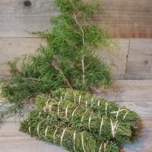 Wild Native Havested Organic Juniper Smudge Bundle