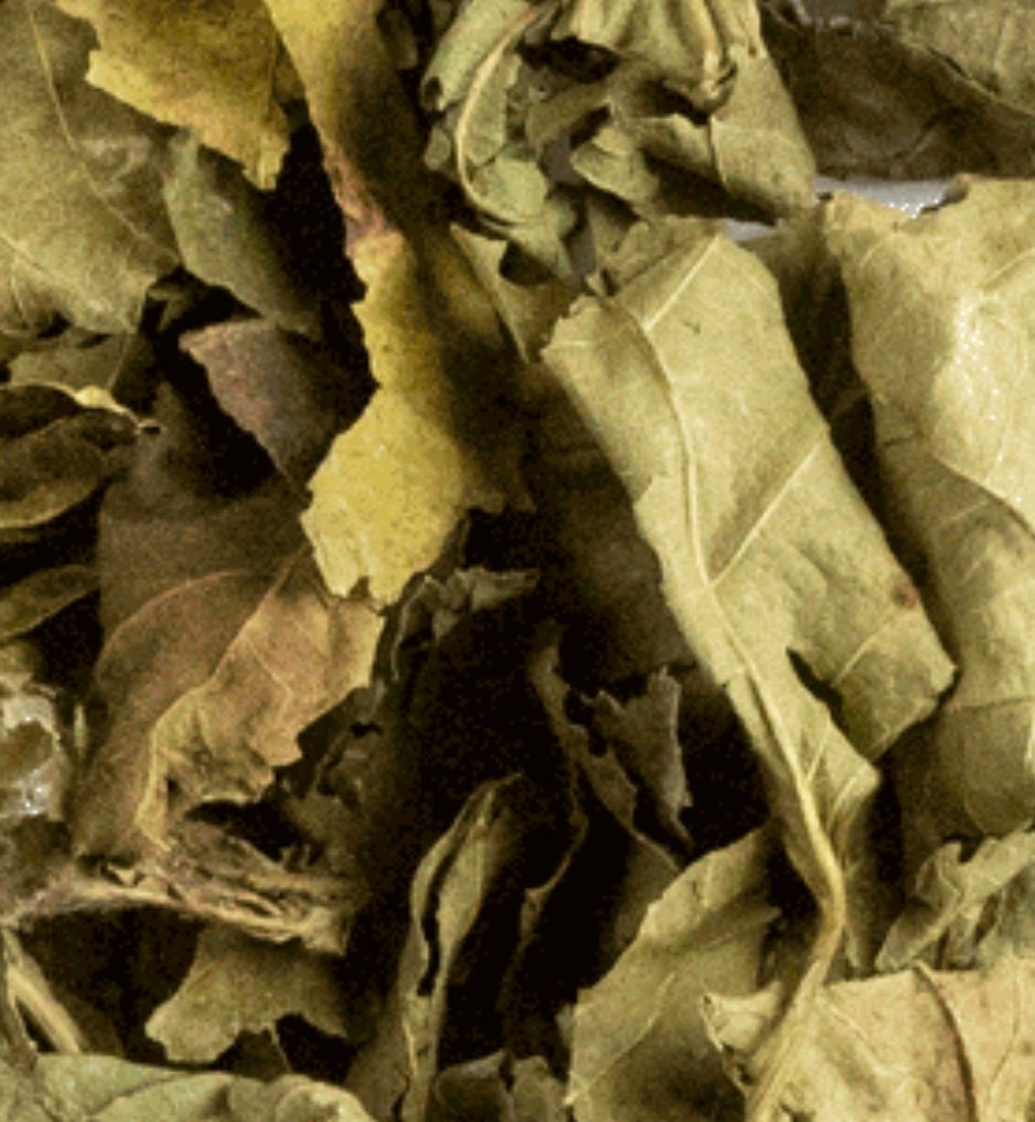 Dried Wild Organic Mulberry Leaves