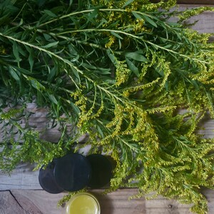 Wild Native Organic  Goldenrod Salve