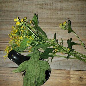 Wild Native Organic Harvested Yellow Crownbeard Dried Leaves