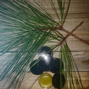 Wild Native Organic Pine Needles Salve