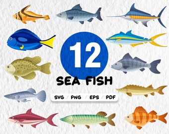 Download Tropical Fish Svg Etsy