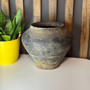 May include: A dark gray, round, ceramic pot with a rough, textured surface. The pot is slightly wider at the top and tapers down to a narrow base.