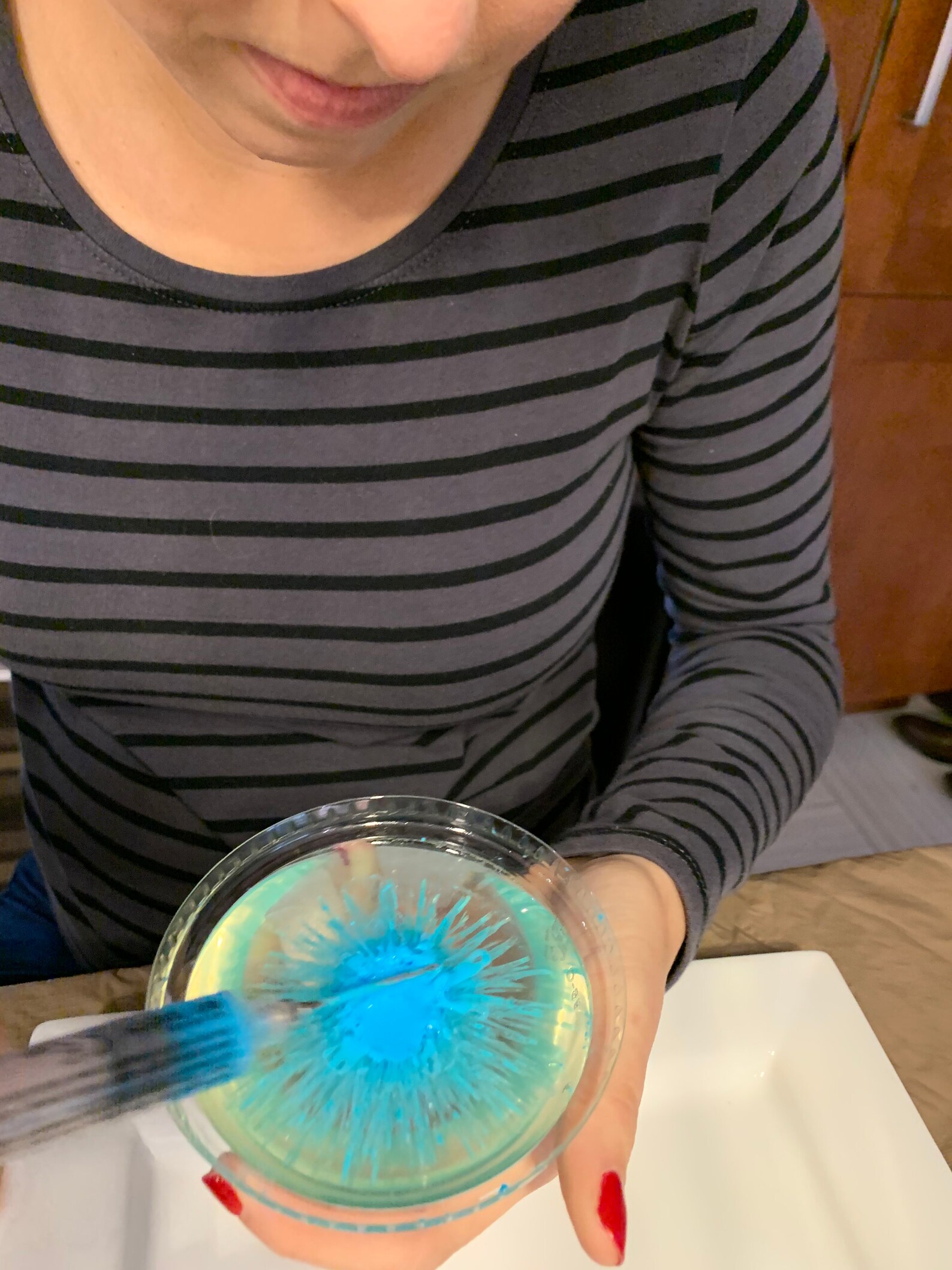 Dessert JellO tools gelatin art syringe Etsy