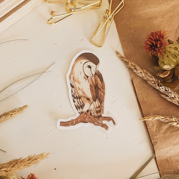 Barn Owl Viynal Sticker, waterproof, Feather, Whimsical, Surreal bird art, bird art, vintage bird, owl