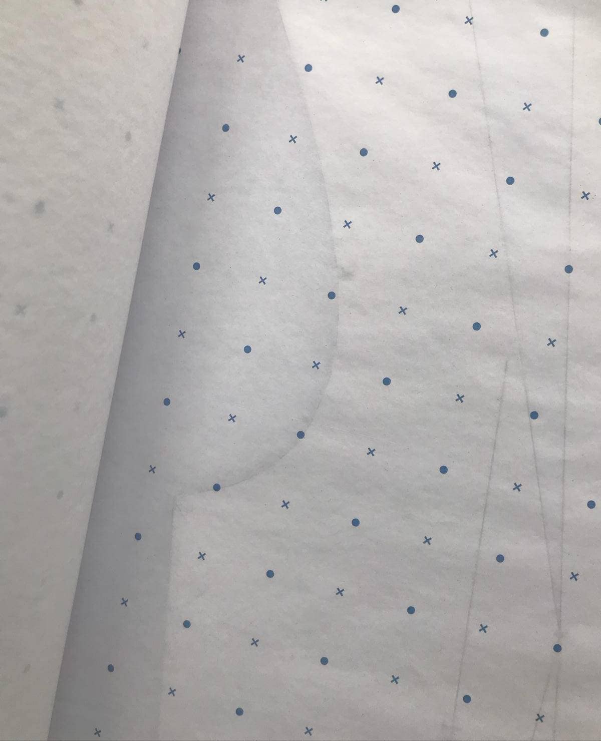 Dotted Pattern Paper 1 yard