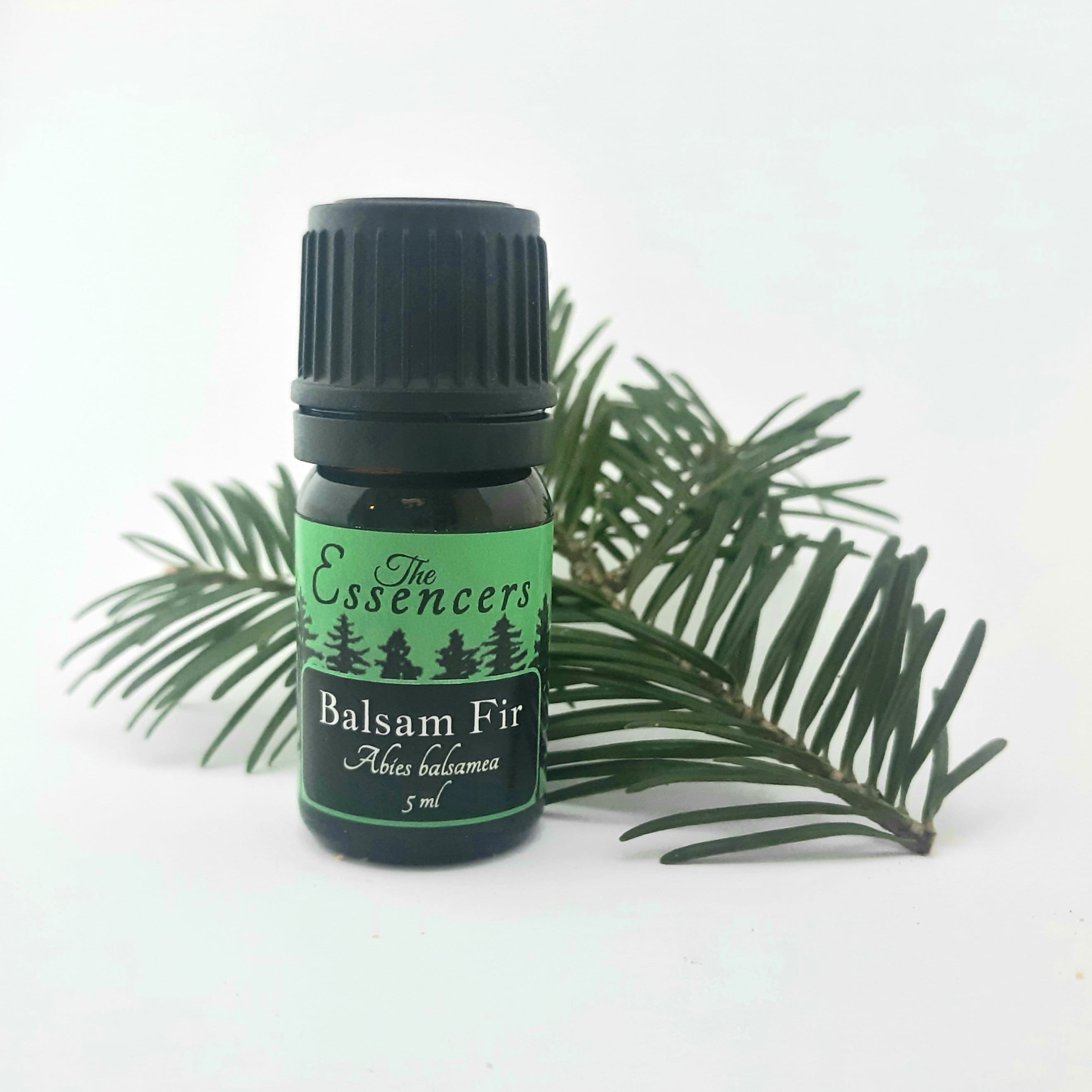 Balsam Fir Essential Oil Artisan Distilled in Maine 