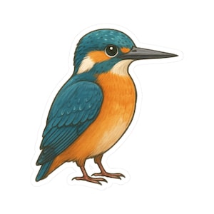 Kingfisher Bird Illustration Cute Wildlife Art Bird Sticker | Cute Funny Laptop Water Bottle Car Window Bumper Sticker