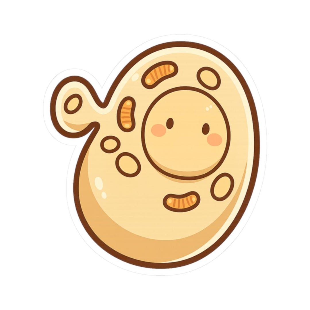 Kawaii Smiling Cell Cartoon Biology Anime Style Science Sticker | Cute ...
