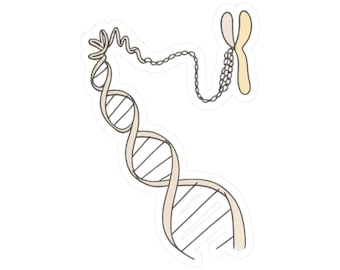 Adesivo de arte e ilustração científica com cromossomo de hélice de DNA | Adesivo de para-choque de garrafa d'água para laptop e janela de carro