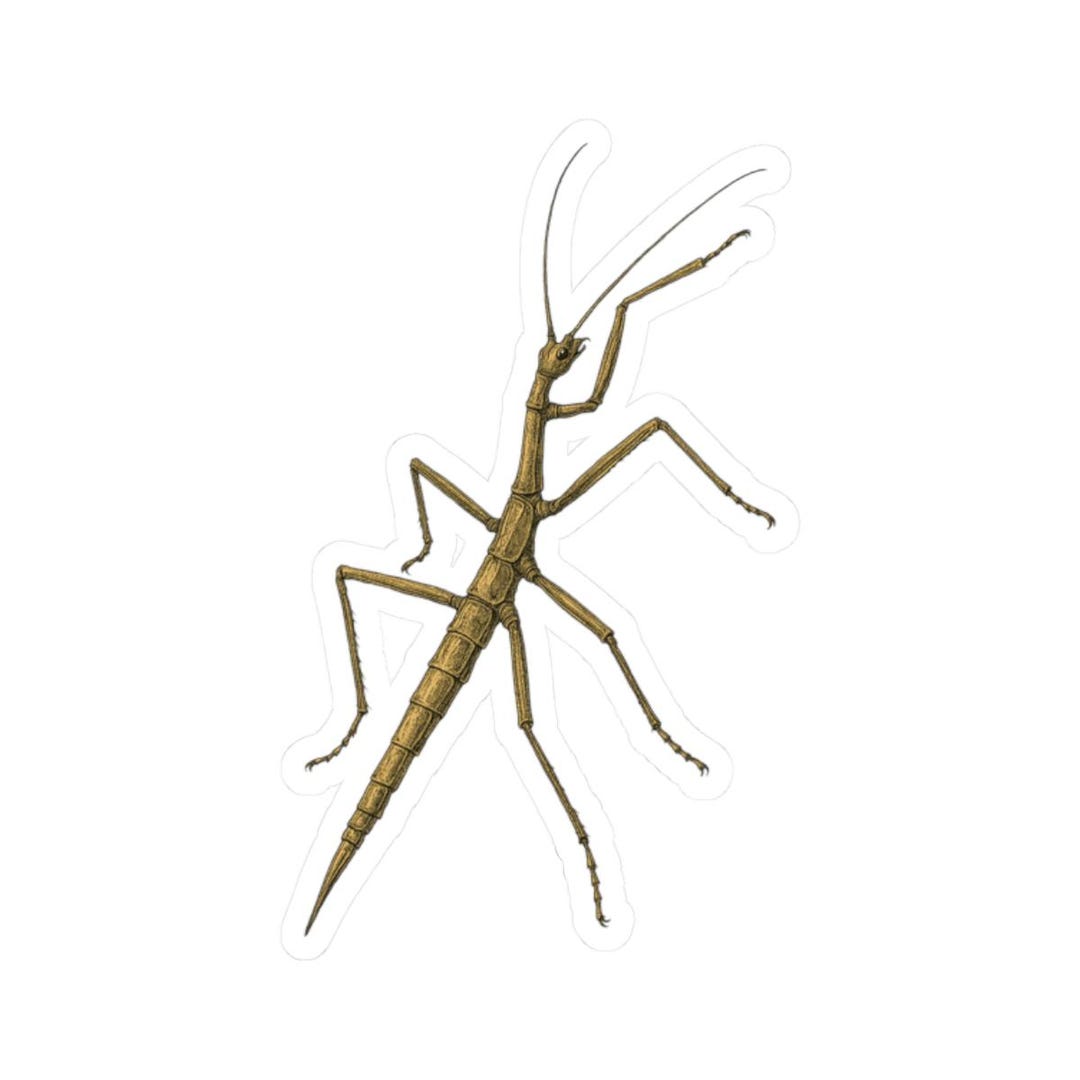 Stick Insect Scientific Illustration Entomology Bug Sticker | Cute ...