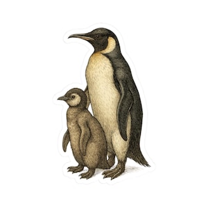 Penguin Parent and Chick Illustration Wildlife Animal Sticker | Cute Funny Laptop Water Bottle Car Window Bumper Sticker