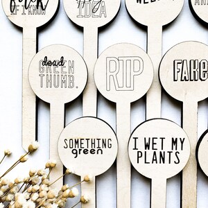 Funny Plant Markers, Inappropriate Garden Stakes, Plant Pun Sign, Indoor House Plant, Outdoor Plant Tags, Silly Gift, Housewarming Gift image 3