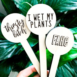 Funny Plant Markers, Inappropriate Garden Stakes, Plant Pun Sign, Indoor House Plant, Outdoor Plant Tags, Silly Gift, Housewarming Gift image 6