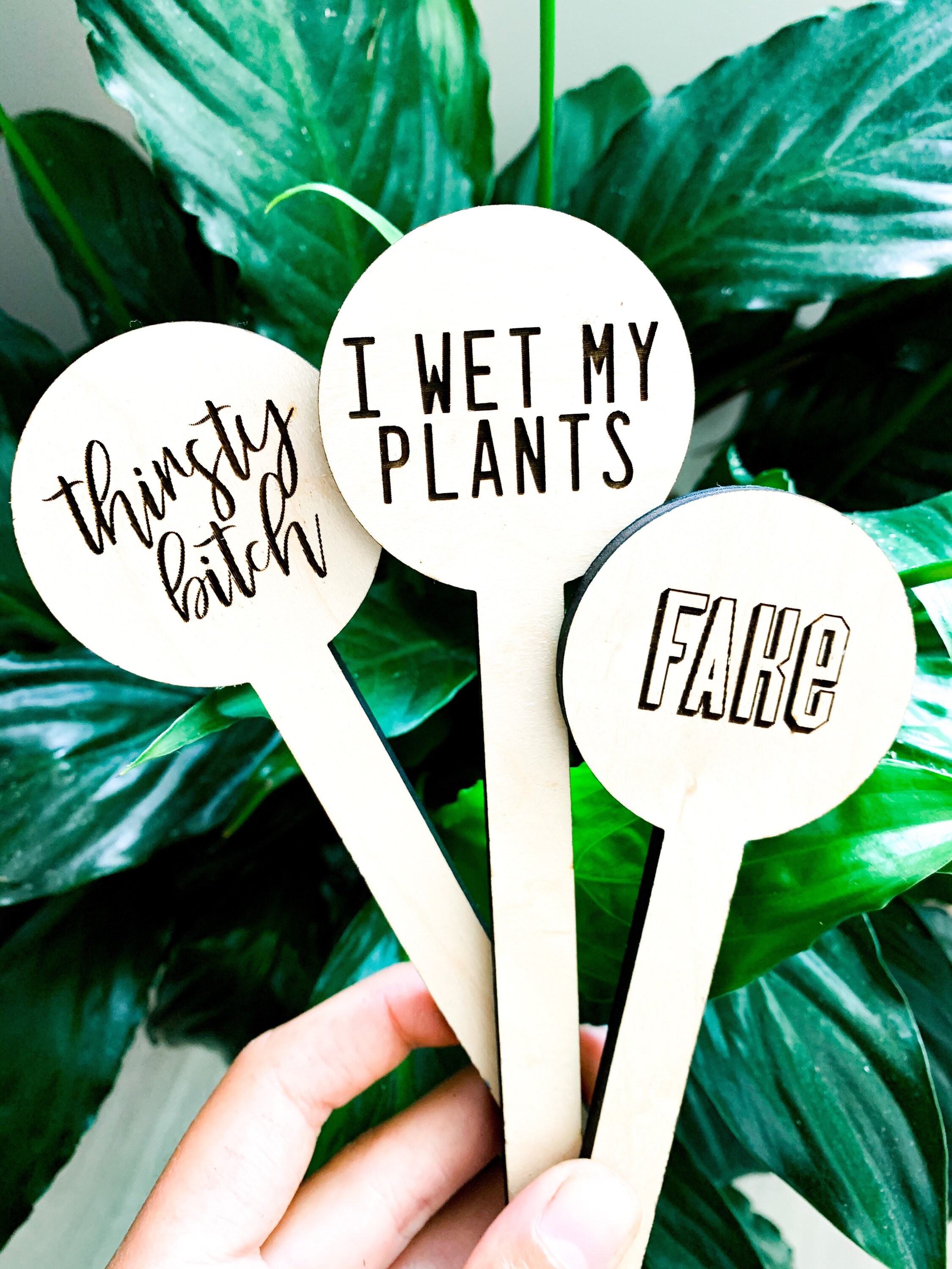 Funny Plant Markers Inappropriate Garden Stakes Plant Pun Etsy