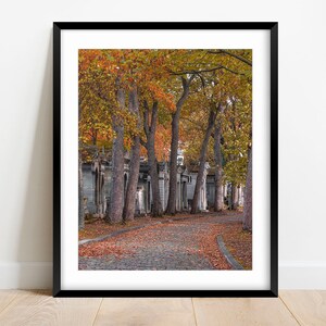 Paris Fall Photography Print, Pere-Lachaise Cemetery, Autumn Paris Photography, Fall Foliage Photo, Paris Wall Decor, Paris Photo Print