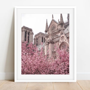 Paris Photography, Paris Notre Dame Photo Print, Notre Dame with Cherry Blossoms, Paris in Pink Gallery Wall Art, Spring Photography Print