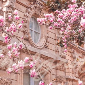 Cherry Blossom Photo, Spring in Paris Photography Print, Fine Art Print, Pink Paris Gallery Wall Art, Paris Photo Print, Magnolia Flower