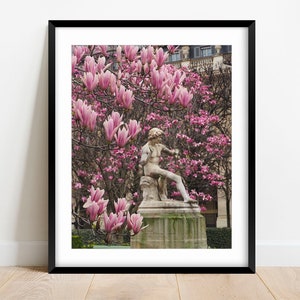 Spring in Paris Photography, Paris Photo Print, Fine Art Print, Paris Gallery Wall Decor, Housewarming Gift, Magnolia Blossom Spring