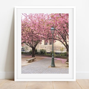 Vintage Lamp Paris Photography Print, Spring Pink Photograph, Paris Wall Decor, Gallery Wall Art, Paris Photo Print, Cherry Blossom Photo