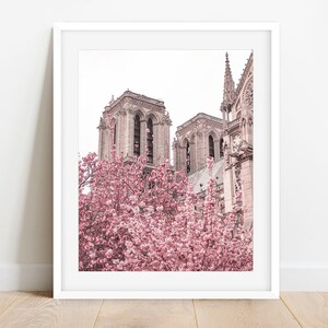 Notre Dame in Bloom Photo, Spring in Paris Photography Print, Fine Art Print, Paris Pink Gallery Wall Art, Paris Photo Print, Cherry Blossom
