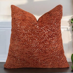 May include: A rust-colored throw pillow with a textured, woven fabric. The pillow has a square shape and a subtle pattern.
