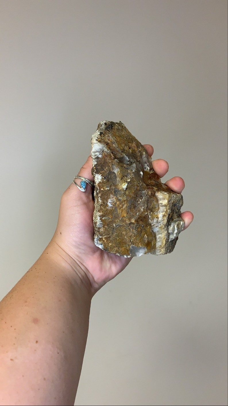 Graveyard Point Plume Agate