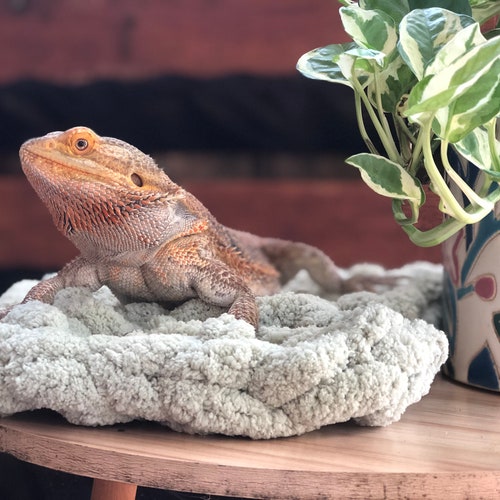 Hand Made Bearded Dragon Patio/enclosure Bed Etsy