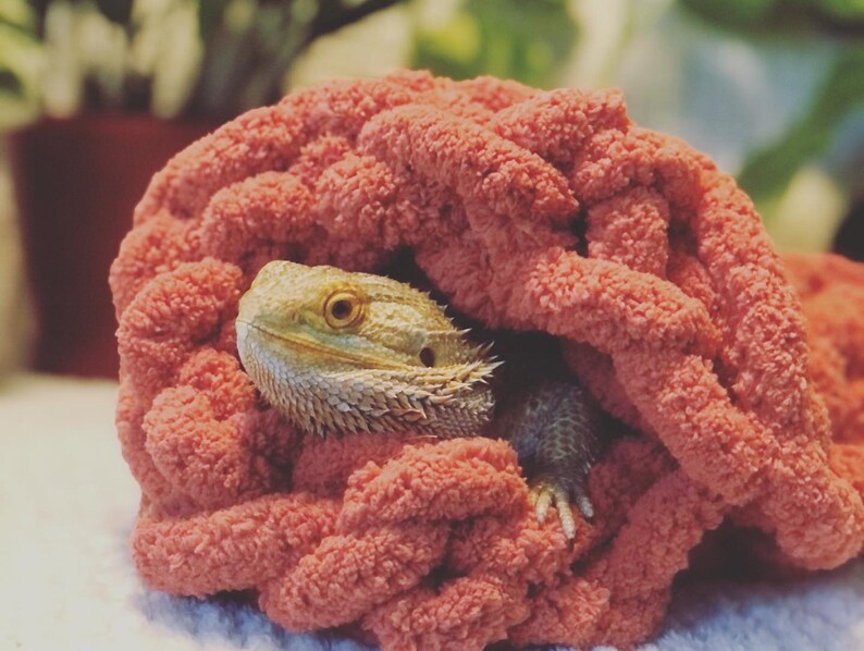 Bearded Dragon Patio Blanket BEARDIE BLANKET Etsy