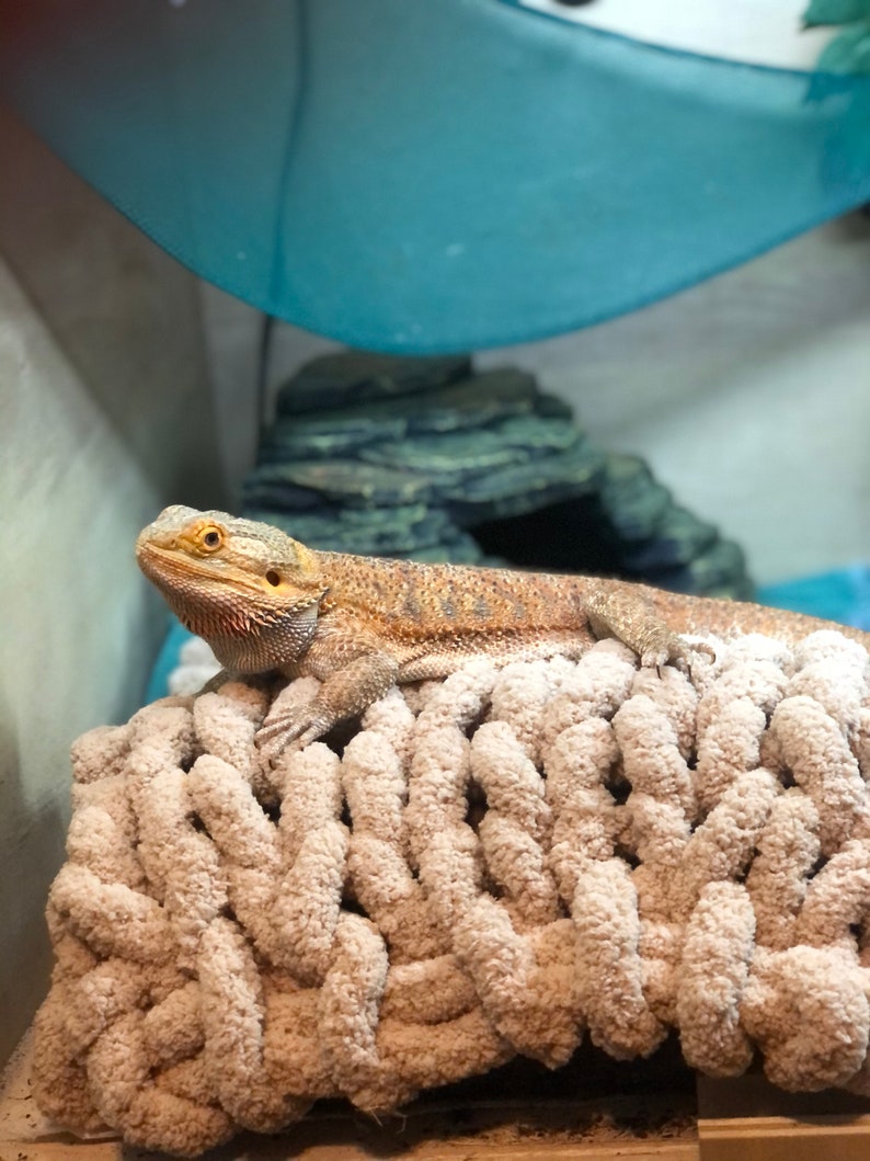 Bearded Dragon Patio Blanket BEARDIE BLANKET Etsy