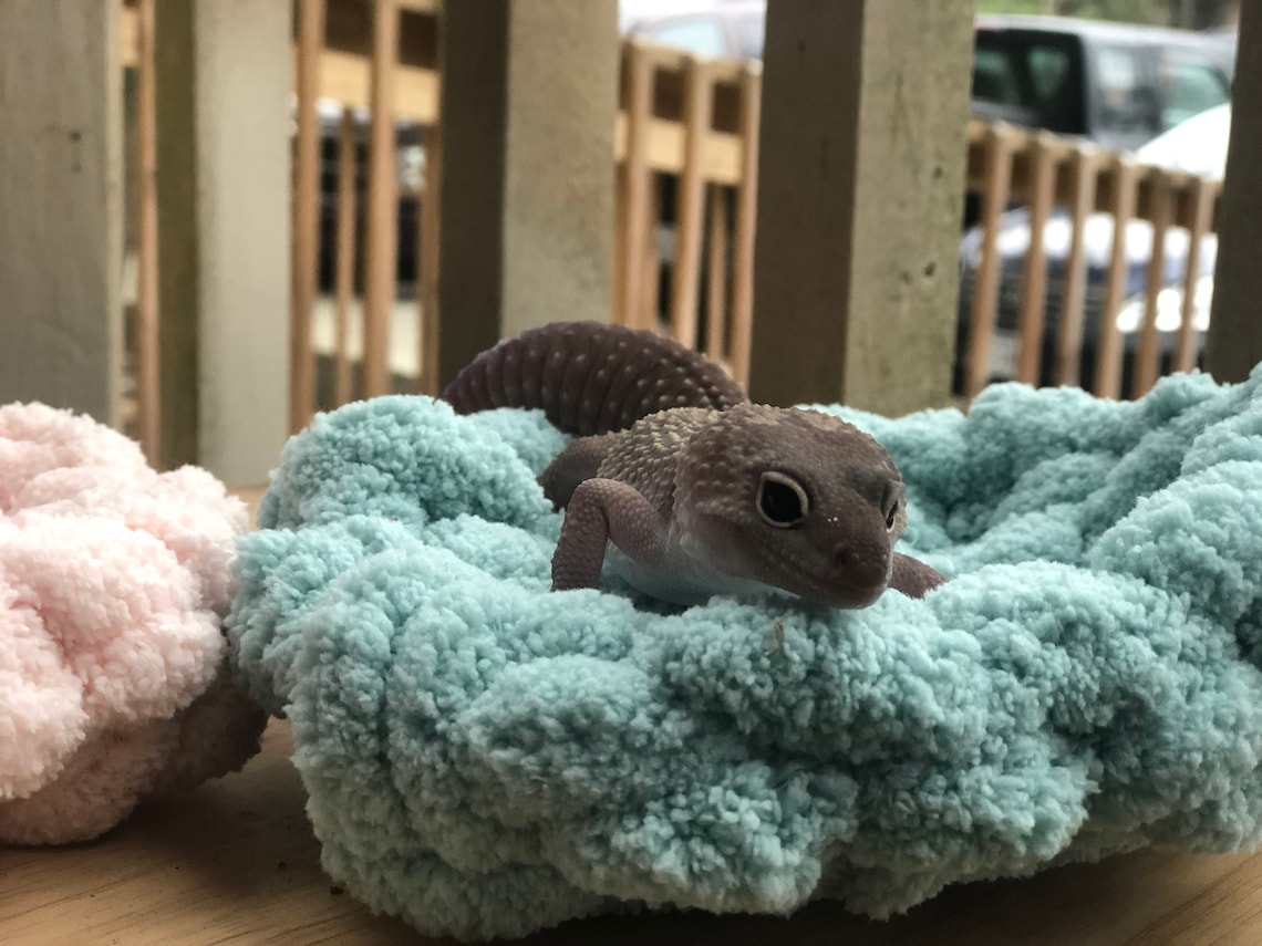 Hand Made Leopard Gecko small pet patio/enclosure Bed Etsy