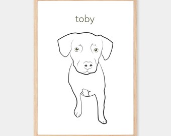 May include: Line art illustration of a dog named Toby. The dog is a brown and white Labrador Retriever with green eyes. The illustration is in black and white and is set against a white background.