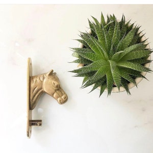 Brass Horse Head Decor Door Knocker.