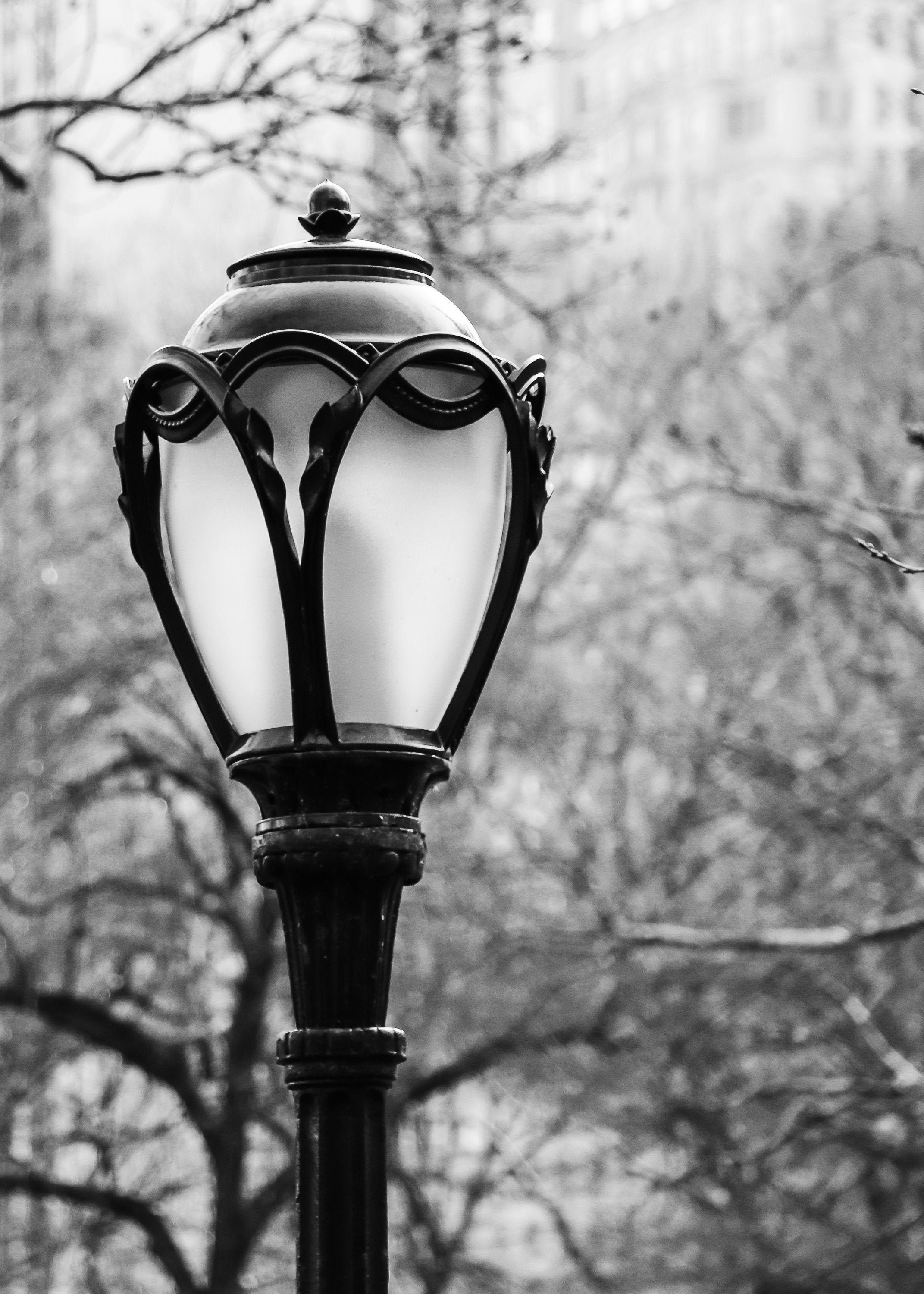 Central Park Lamp Post NYC. Iconic NYC Central Park Photo Etsy