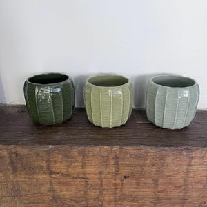 May include: Three ceramic planters with a ribbed, vertical texture. The planters are arranged in a row, featuring a gradient of green shades: a dark forest green, a medium olive green, and a light sage green. Each pot has a rounded shape.