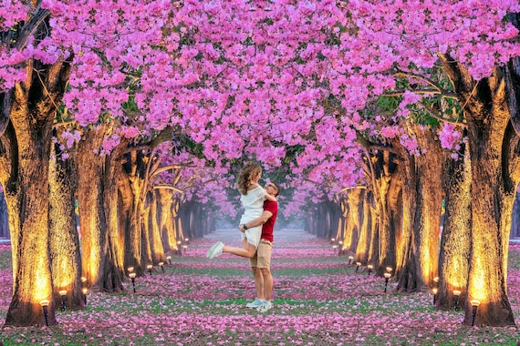 Digital Pink Flowers Tree Rows Background, Lighted Trees