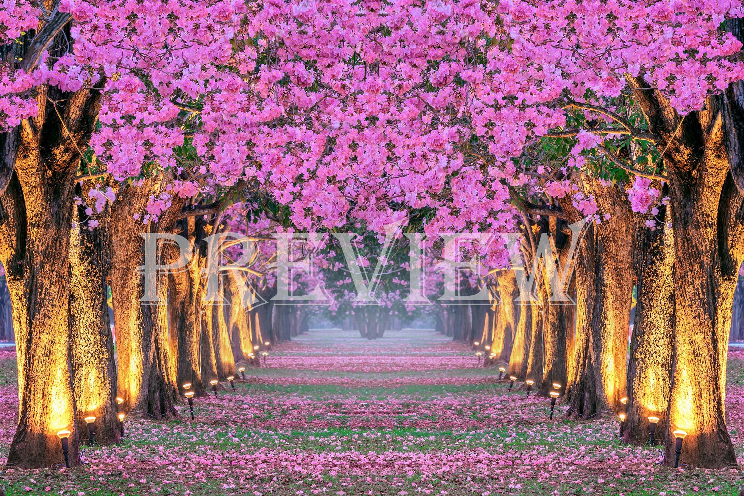 Digital Pink Flowers Tree Rows Background, Lighted Trees