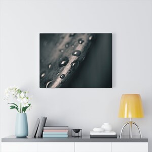 Succulent photography print, succulent canvas wall art, gothic art, moody art print, black wall art, gloomy wall art, minimalist decor