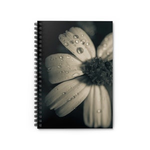 Spiral Notebook - Ruled Line