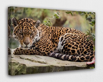 CANVAS Leinwand bilder XXL Jaguar im Dschungel Bild Wandbild 15F0122020