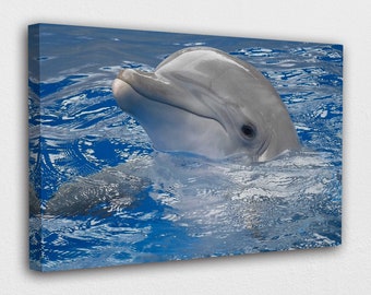 Dolphin Canvas Art Etsy