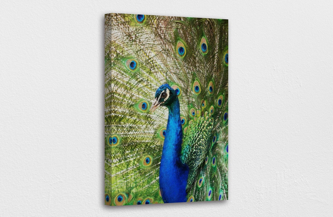 Blue Nature Peacock Oil Painting Canvas Wall Art Design - Etsy
