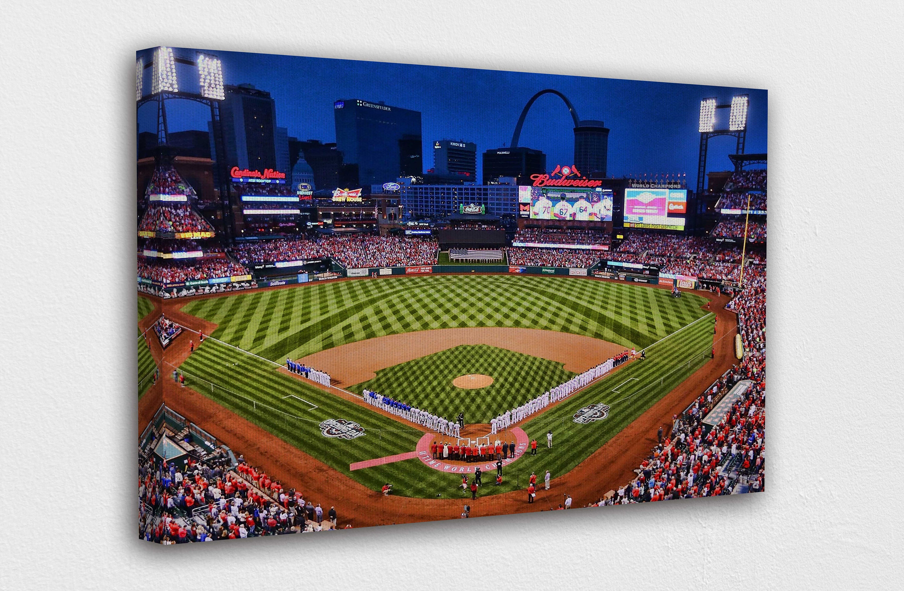 St. Louis cardinals Wall Art Canvas Home Decor Framed