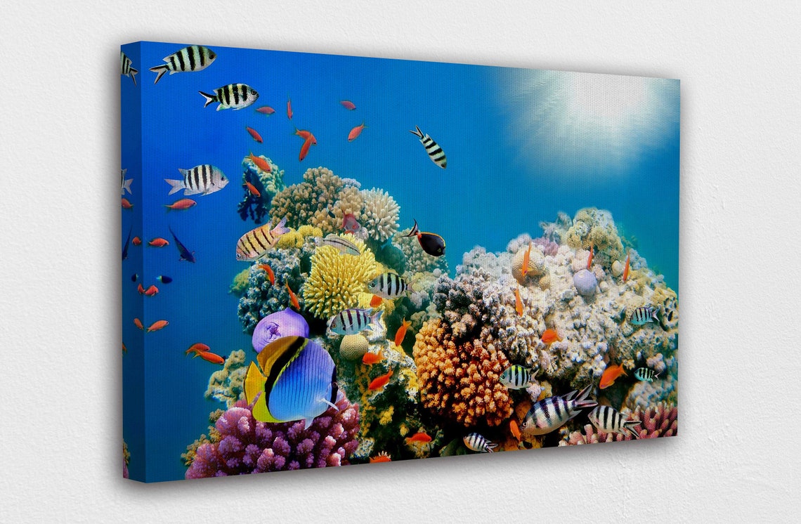 Coral Reef and Tropical Fish Canvas Wall Art Design Poster | Etsy
