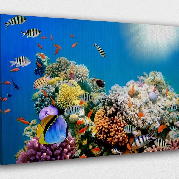 Coral Reef And Tropical Fish Canvas Wall Art Design | Poster Print Decor for Home & Office Decoration I POSTER or CANVAS READY to Hang