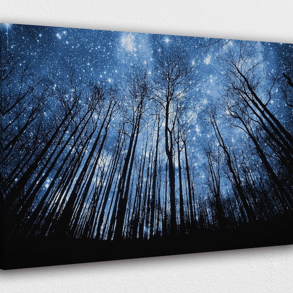 Winter Starry night sky Canvas Design | Poster Print Decor for Home & Office Decoration I POSTER or CANVAS READY to Hang