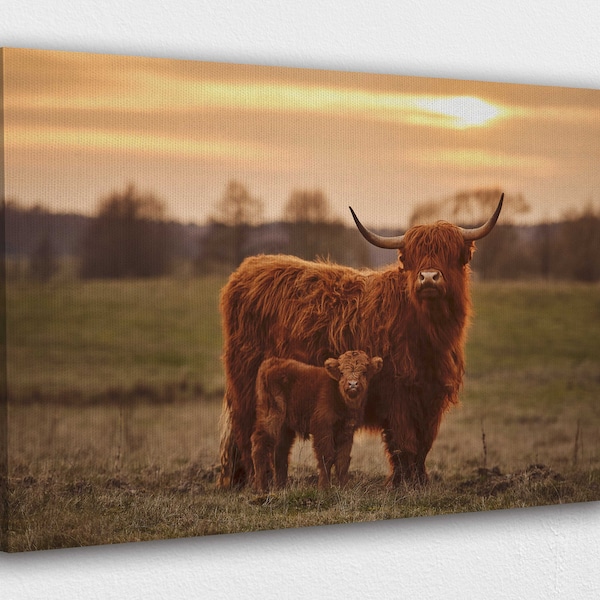 Baby Scottish Highland Cow Canvas Wall Art Design | Poster Print Decor for Home & Office Decoration I POSTER or CANVAS READY to Hang