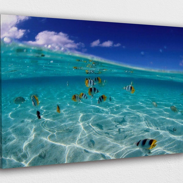 Vissen op een heldere waterzee Canvas Wall Art Design | Poster Print Decor voor thuis- en kantoordecoratie I POSTER of CANVAS KLAAR om op te hangen